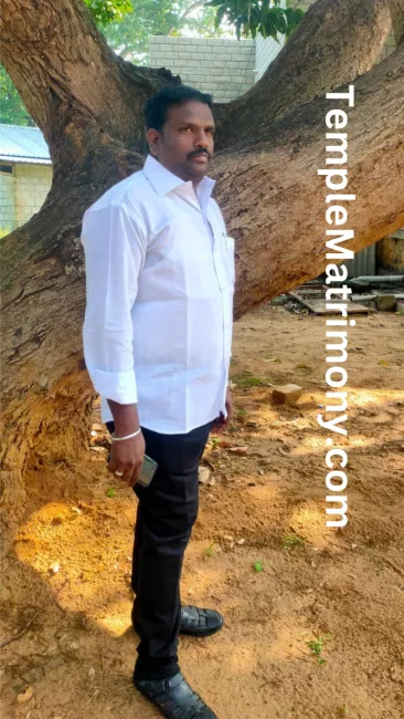 Profile picture for user rameshbabu